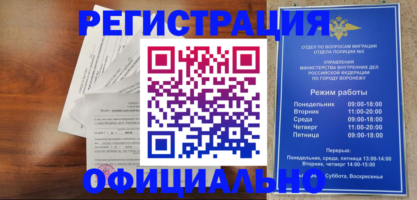 прописка поиск в Черноголовке